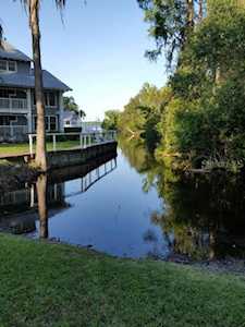2599 Dolly Bay Dr #102 Palm Harbor, FL 34684