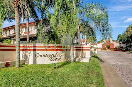 3460 Countryside Blvd #62 Clearwater, FL 33761