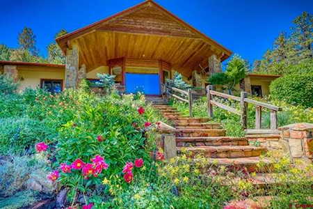 238 & 101 Pineview Drive Pagosa Springs, CO 81147