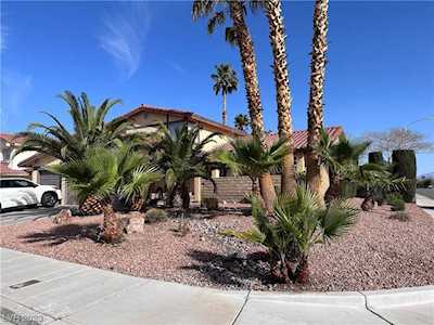 8700 Cremona Dr Las Vegas, NV 89117