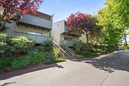 137 Piccadilly Place #A San Bruno, CA 94066