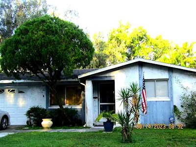 1149 Foxwood Dr Lutz, FL 33549