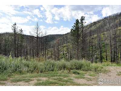 27836 Buckhorn Rd Bellvue, CO 80512