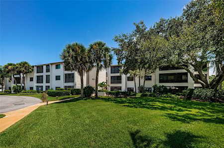 1001 Tartan Dr #307 Palm Harbor, FL 34684