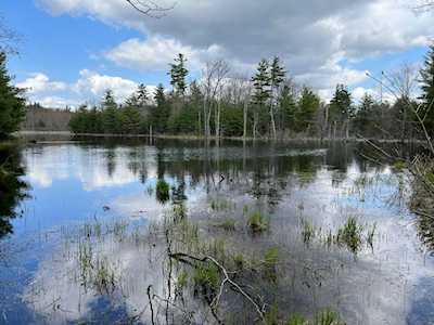 000 Butternut Rd Greenville, NH 03048