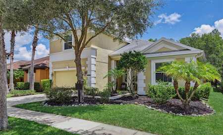 8009 Hampton Glen Dr Tampa, FL 33647