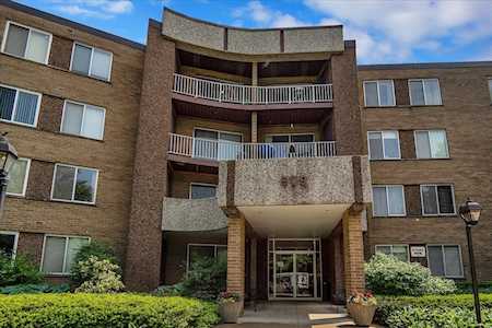 909 E Kenilworth Ave #319 Palatine, IL 60074