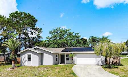 3902 Lake Shore Dr Palm Harbor, FL 34684