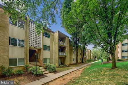 12204 Braxfield Ct #13 Rockville, MD 20852