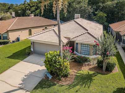 3704 Darston St Palm Harbor, FL 34685