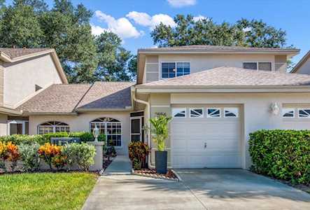 2556 Pine Cove Ln Clearwater, FL 33761