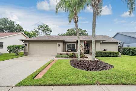 3259 Glenridge Dr Palm Harbor, FL 34685