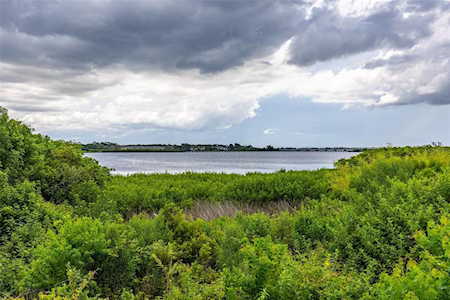 169 Pinewood TERRACE #106 Safety Harbor, FL 34695