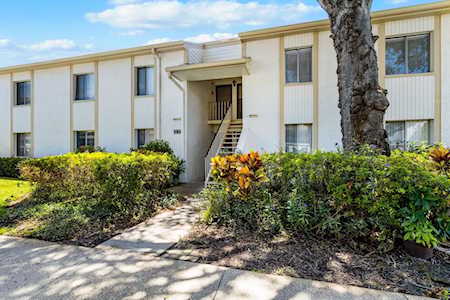 103 Palmetto Ct #103 Oldsmar, FL 34677