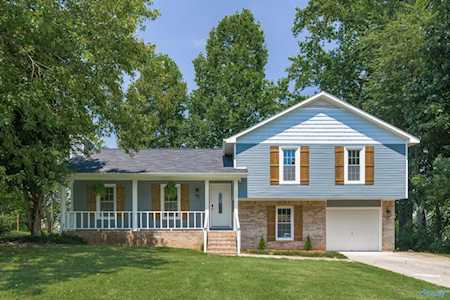 209 NE Frances Amelia Drive Huntsville, AL 35811