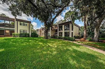 Winding Creek Condo 55+ | Clearwater Florida Real Estate