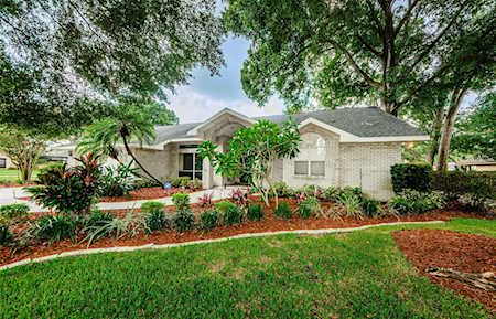 3811 Cliffdale Dr Valrico, FL 33594