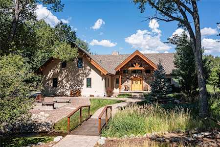 15685 Par Ln Buena Vista, CO 81211