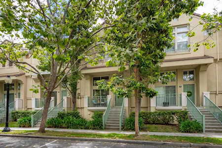 166 Cottonwood Ct MOUNTAIN VIEW, CA 94043