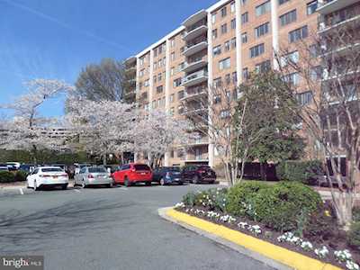 3101 New Mexico Ave NW #551 Washington, DC 20016