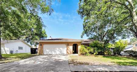2150 Grove Valley Ave Palm Harbor, FL 34683