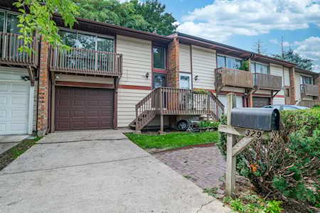 329 Grand Canyon Dr #1 Bolingbrook, IL 60440