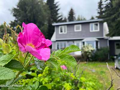 894 Lupine Ct Homer, AK 99603