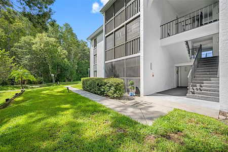 1344 Pine Ridge CIRCLE E #G1 Tarpon Springs, FL 34688