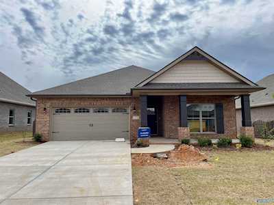 21778 Natures Cove Drive Athens, AL 35613