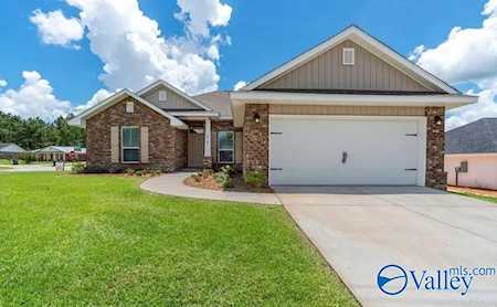 28691 Nature Trail Drive Harvest, AL 35749