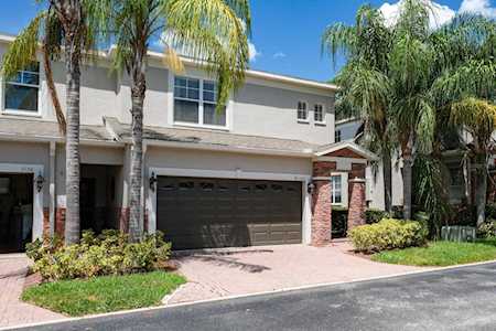 1536 Hillview Ln Tarpon Springs, FL 34689