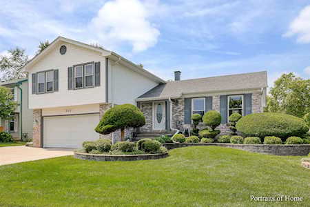 822 Pheasant Walk Dr Schaumburg, IL 60193