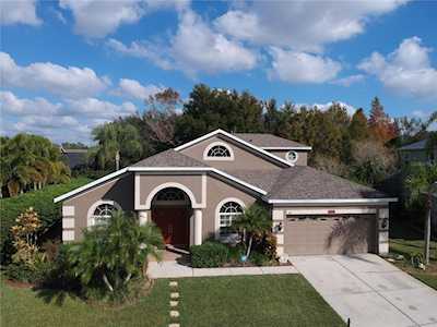 1938 Alecost Ct Trinity, FL 34655
