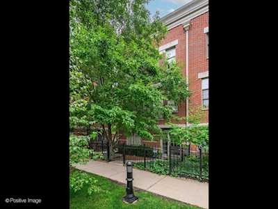 849 N May St #M Chicago, IL 60642