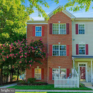 1602 Briarview Ct #65 Severn, MD 21144