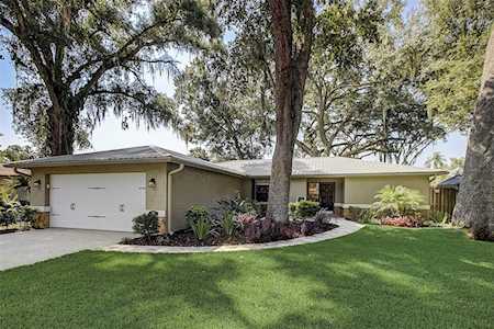 3614 Arlington Oaks Ct Tampa, FL 33618