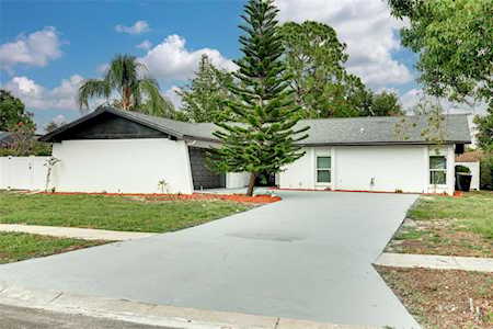 2807 Forest View Dr Clearwater, FL 33761