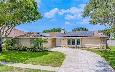 1695 Sand Hollow Ln Palm Harbor, FL 34683