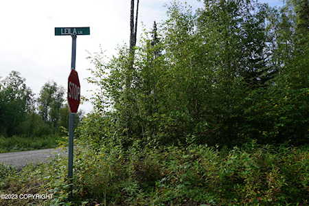 13950 E Leila Ln Talkeetna, AK 99676