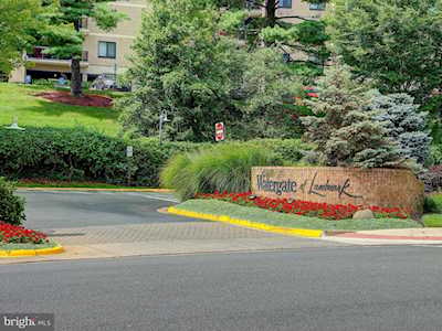 307 Yoakum Parkway #1716 Alexandria, VA 22304
