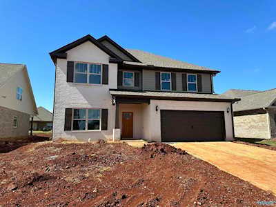 321 Valion Street Meridianville, AL 35759