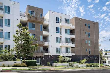 1101 S Harvard Blvd #203 Los Angeles, CA 90006
