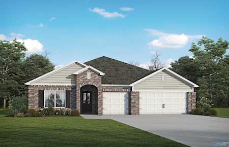 132 Chesire Cove Lane New Market, AL 35761