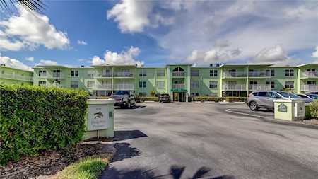 464 N Paula Dr #211 Dunedin, FL 34698