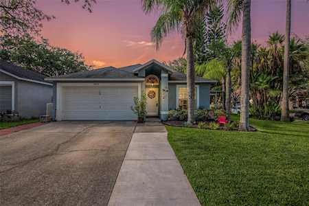 3654 Amelia WAY Palm Harbor, FL 34684