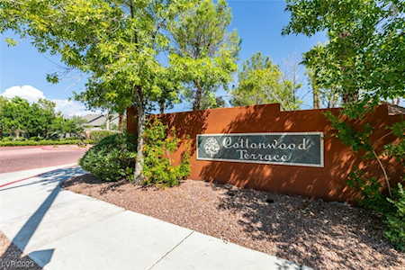 10207 Birch Bluff Ln Las Vegas, NV 89145