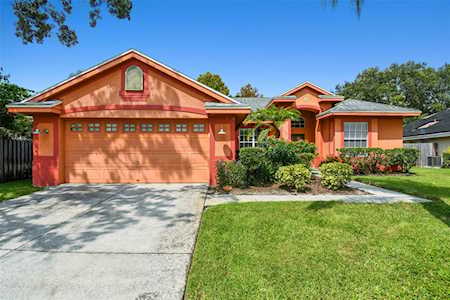 598 Equine Dr Tarpon Springs, FL 34688