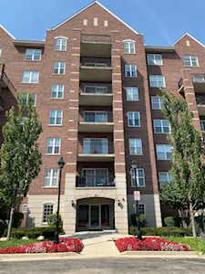 390 W Mahogany Ct #307 Palatine, IL 60067