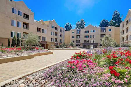 8889 Caminito Plaza Centro #7241 San Diego, CA 92122