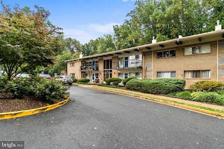 4917 Americana Dr #208 Annandale, VA 22003